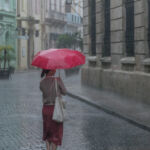 Havana Rain - Matthew Goldsworthy - 3rd Place