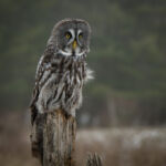 Post it! - Ann White - 3rd Place