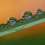 Tiny Lamborgini - Dave Dennis - 2nd Place